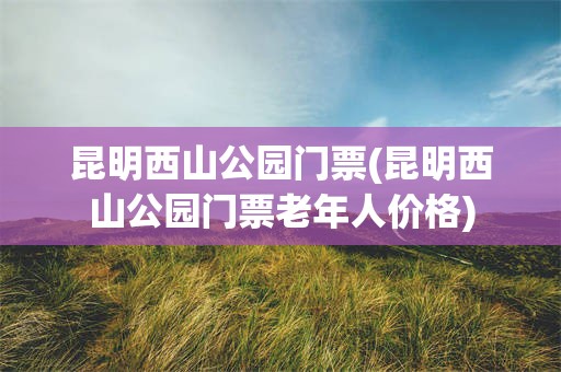 昆明西山公园门票(昆明西山公园门票老年人价格)