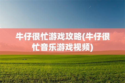 牛仔很忙游戏攻略(牛仔很忙音乐游戏视频)