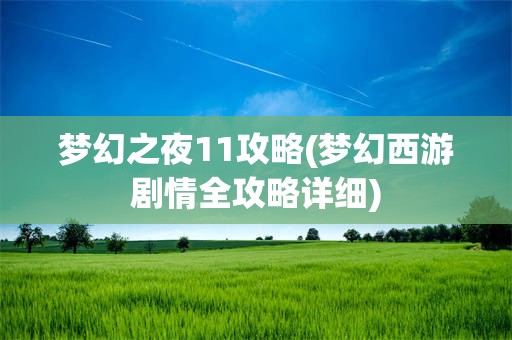 梦幻之夜11攻略(梦幻西游剧情全攻略详细)