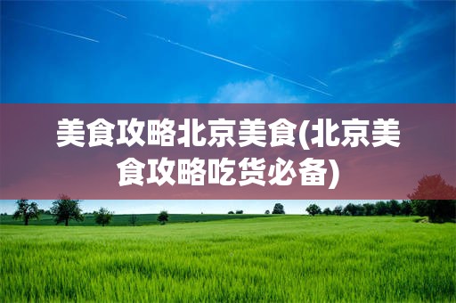 美食攻略北京美食(北京美食攻略吃货必备)