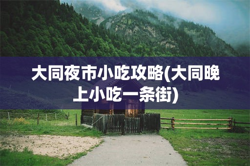 大同夜市小吃攻略(大同晚上小吃一条街)