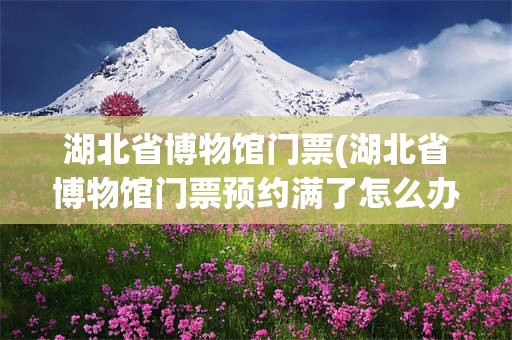 湖北省博物馆门票(湖北省博物馆门票预约满了怎么办)
