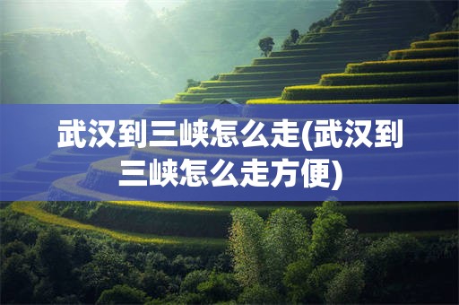 武汉到三峡怎么走(武汉到三峡怎么走方便)