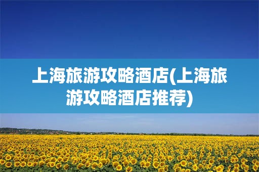上海旅游攻略酒店(上海旅游攻略酒店推荐)