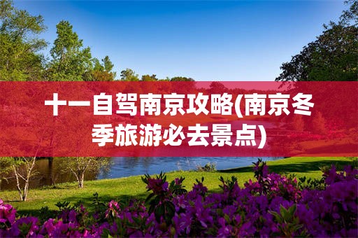十一自驾南京攻略(南京冬季旅游必去景点)