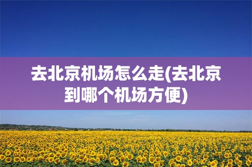 去北京机场怎么走(去北京到哪个机场方便)