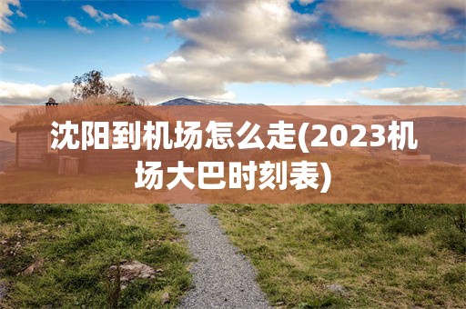 沈阳到机场怎么走(2023机场大巴时刻表)
