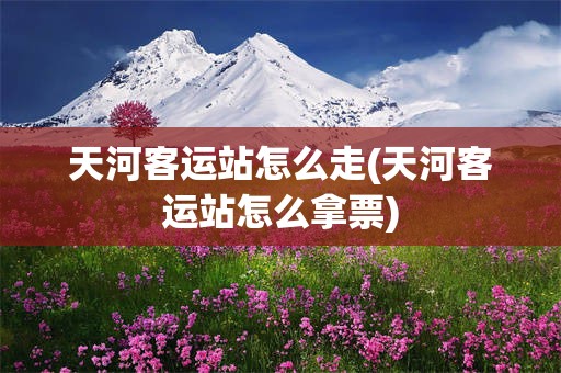 天河客运站怎么走(天河客运站怎么拿票)