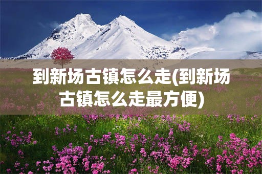 到新场古镇怎么走(到新场古镇怎么走最方便)