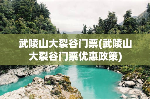武陵山大裂谷门票(武陵山大裂谷门票优惠政策)