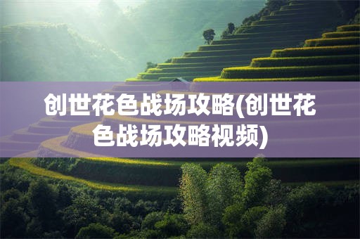 创世花色战场攻略(创世花色战场攻略视频)