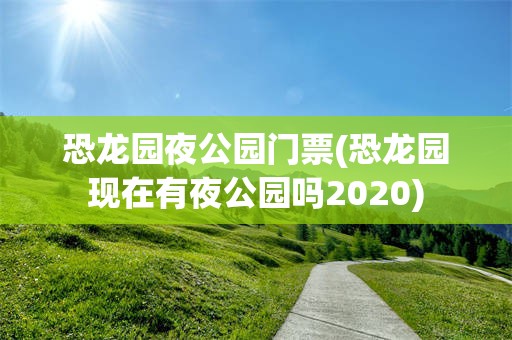 恐龙园夜公园门票(恐龙园现在有夜公园吗2020)