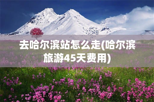 去哈尔滨站怎么走(哈尔滨旅游45天费用)