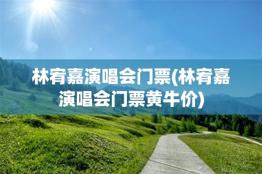 林宥嘉演唱会门票(林宥嘉演唱会门票黄牛价)