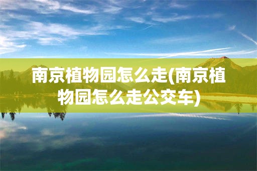南京植物园怎么走(南京植物园怎么走公交车)