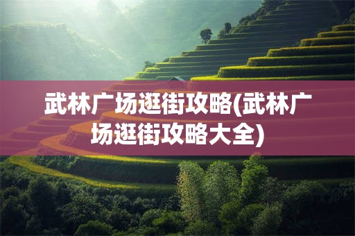 武林广场逛街攻略(武林广场逛街攻略大全)