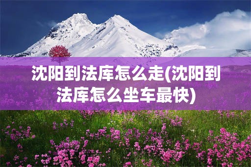 沈阳到法库怎么走(沈阳到法库怎么坐车最快)