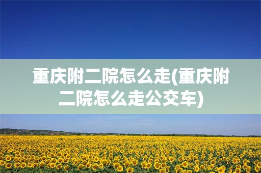 重庆附二院怎么走(重庆附二院怎么走公交车)