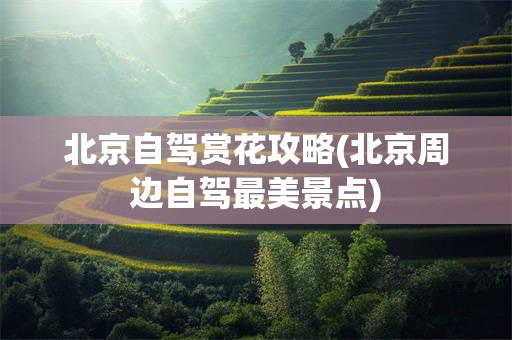 北京自驾赏花攻略(北京周边自驾最美景点)