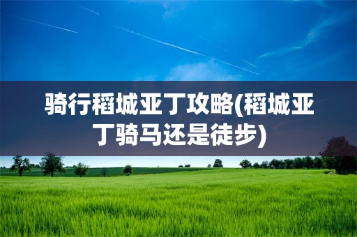 骑行稻城亚丁攻略(稻城亚丁骑马还是徒步)