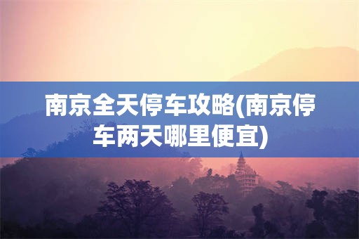 南京全天停车攻略(南京停车两天哪里便宜)