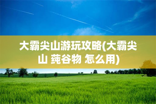 大霸尖山游玩攻略(大霸尖山 莼谷物 怎么用)