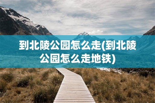 到北陵公园怎么走(到北陵公园怎么走地铁)