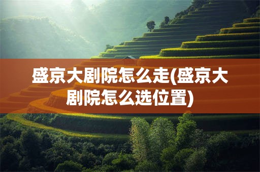 盛京大剧院怎么走(盛京大剧院怎么选位置)