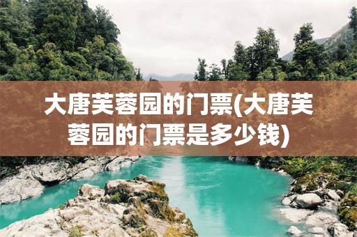 大唐芙蓉园的门票(大唐芙蓉园的门票是多少钱)