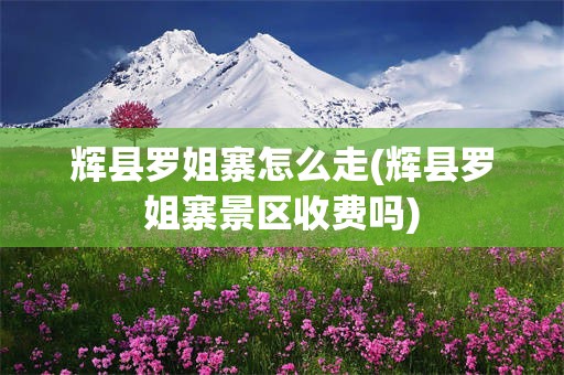 辉县罗姐寨怎么走(辉县罗姐寨景区收费吗)