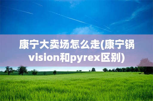康宁大卖场怎么走(康宁锅vision和pyrex区别)