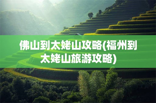 佛山到太姥山攻略(福州到太姥山旅游攻略)