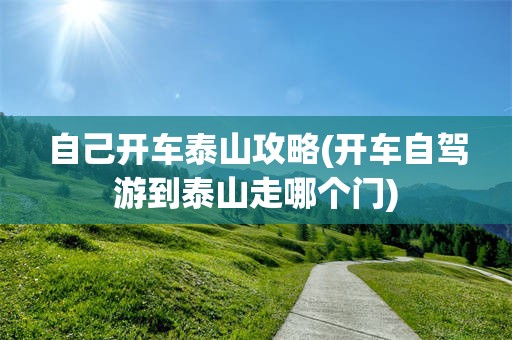 自己开车泰山攻略(开车自驾游到泰山走哪个门)