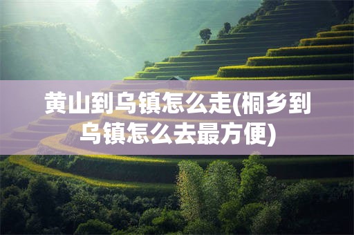 黄山到乌镇怎么走(桐乡到乌镇怎么去最方便)