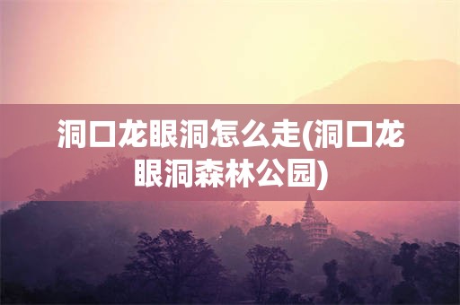 洞口龙眼洞怎么走(洞口龙眼洞森林公园)