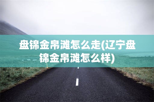 盘锦金帛滩怎么走(辽宁盘锦金帛滩怎么样)