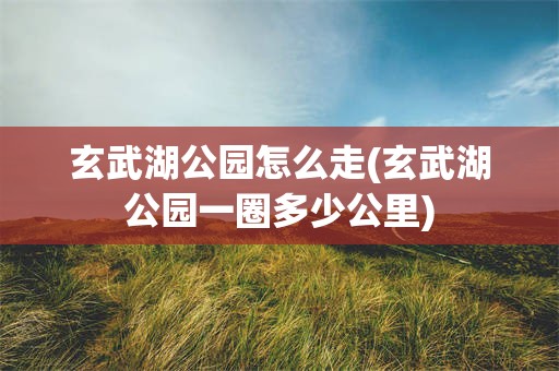玄武湖公园怎么走(玄武湖公园一圈多少公里)