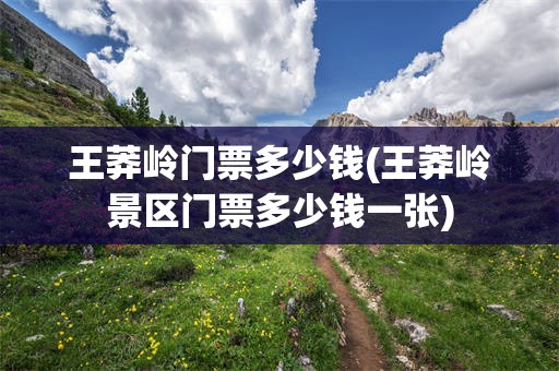 王莽岭门票多少钱(王莽岭景区门票多少钱一张)