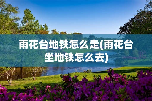 雨花台地铁怎么走(雨花台坐地铁怎么去)