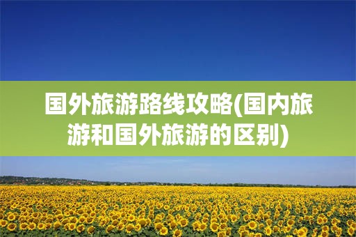 国外旅游路线攻略(国内旅游和国外旅游的区别)