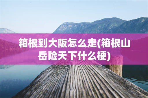 箱根到大阪怎么走(箱根山岳险天下什么梗)