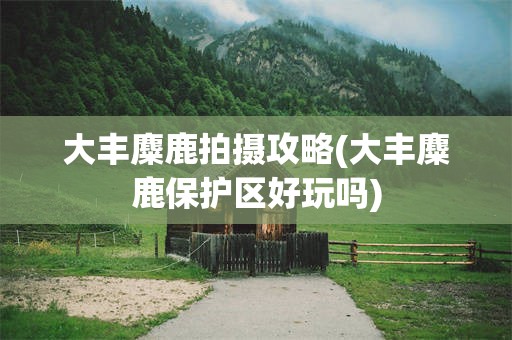 大丰麋鹿拍摄攻略(大丰麋鹿保护区好玩吗)