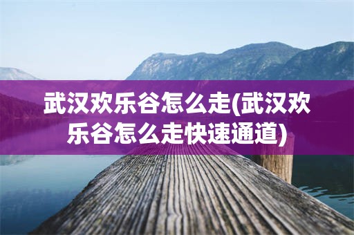 武汉欢乐谷怎么走(武汉欢乐谷怎么走快速通道)