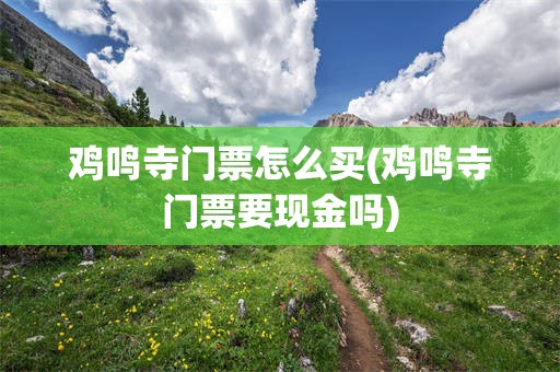 鸡鸣寺门票怎么买(鸡鸣寺门票要现金吗)