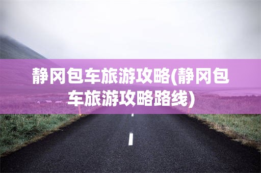 静冈包车旅游攻略(静冈包车旅游攻略路线)