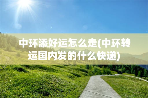 中环添好运怎么走(中环转运国内发的什么快递)