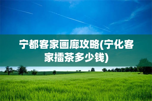 宁都客家画廊攻略(宁化客家擂茶多少钱)