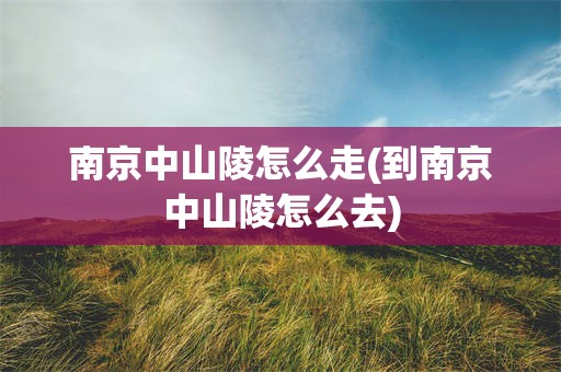 南京中山陵怎么走(到南京中山陵怎么去)