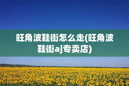 旺角波鞋街怎么走(旺角波鞋街aj专卖店)
