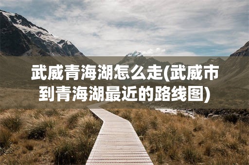 武威青海湖怎么走(武威市到青海湖最近的路线图)